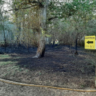 El foc va calcinar 400 metres quadrats de bosc de ribera.