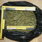 850 grams de marihuana