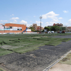 Imatge de la renovació de la gespa al camp de futbol de Mollerussa.