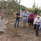 Visita a una plantación de pistachos organizada por la Cooperativa d’Ivars y el Grup Borges y que reunió a 45 agricultores. 