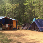 Una de las acampadas en uno de los bosques del Solsonès. 