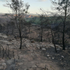 El gran incendi va calcinar unes 500 hectàrees al terme de Maials, d’un total de 5.000.