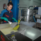 Imatge d’arxiu de l’elaboració d’oli d’oliva verge extra en una cooperativa de Lleida.