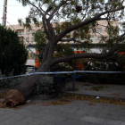 Un dels arbres caiguts a l’estació de tren a Cambrils, que va obligar a tallar la circulació ferroviària.