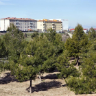 El parque está situado en la zona de crecimiento de la ciudad.