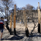Una treintena de artistas comenzaron ayer a crear en el área afectada por el incendio cerca de Maials.