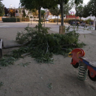 Herida un niña al caerle una rama en la Rambla d'Aragó
