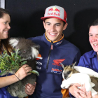 Marc posa amb un coala i un cangur en mans de les cuidadores.