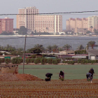 Agricultura i construcció pressionen enormement el Mar Menor.