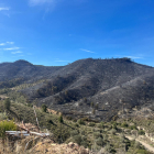 Imágenes del incendio de la Franja y el Segrià, el más importante del año en las comarcas lleidanates, con 453 hectáreas quemadas