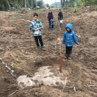 Nens i nenes van plantar arbres a l’aiguabarreig Segre-Cinca.