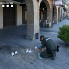 Un rural inspecciona la destrucción de nidos en Balaguer. 
