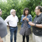 La consellera Jordà visitó ayer un campo de platerina en Seròs.