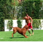 Messi, jugando en el jardín de su casa con su perro Hulk.
