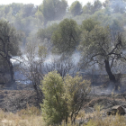 El incendio calcinó cerca de 1.000 hectáreas en los municipios de Maials y Llardecans. 