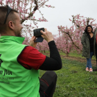 Els turistes arriben als camps en flor de Soses i la Granja d’Escarp