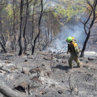 Estabilizado un fuego forestal en Huelva tras arrasar 12.000 hectáreas