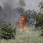 Los Bomberos sofocan un incendio de cañas y matojos en Cappont