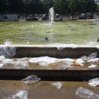 Bolsas de plástico en una fuente de Pardinyes, el año pasado.