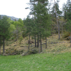 Imagen de archivo del Parc Natural del Cadí-Moixeró.