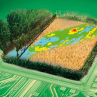 Les dades, el futur de l'agricultura
