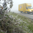 Imagen de arbustos helados y la niebla ayer por la mañana en Sant Ramon. 