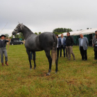 Las autoridades, ante uno de los caballos participantes en el certamen. 