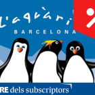 Visiteu l'Aquàrium de Barcelona i gaudiu de les activitats de cap de setmana relacionades amb el món dels pingüins.