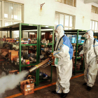 Voluntaris desinfecten una àrea administrativa davant del brot del coronavirus a Shandong, Xina.