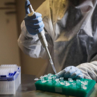 La OMS no espera vacunaciones masivas contra la COVID hasta mediados del 2021