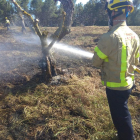 Un incendio calcina 1,6 hectáreas de cultivos y olivos en Albatàrrec