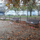 Vasos y botellas de plástico se mezclaban con las hojas en el parque. 