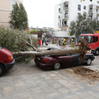 Un arbre de grans dimensions cau sobre un cotxe a Pardinyes