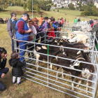 Al matí també es va celebrar el 33 concurs de bestiar.