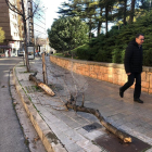Árboles caídos a la calle Salmeron de Lleida.