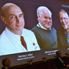 Los tres científicos ganadores del premio Novel de medicina de este año.