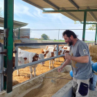 El ramader Jesús Romero i el veterinari Juan Tutusaus, ahir en una explotació d’Alcarràs.