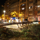 Un pino de grandes dimensiones cayó ayer por la tarde en la calle Mariola sin provocar daños.