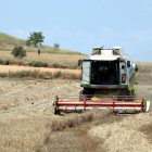 Imagen del inicio de la cosecha de cebada el pasado mes de mayo en un campo de Alfès.