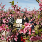 Imagen de uno de los grupos de japoneses que visitaron ayer los campos en flor de Aitona.