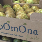 BBVA i El Celler de Can Roca premien l'empresa lleidatana Pomona Fruits
