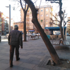 L’associació de veïns del Clot alerta d’un arbre molt inclinat a la plaça del Treball.