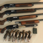 Imatge de les escopetes i alguns tords confiscats.