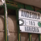 Ara Lleida Tour als Tres Tombs d'Anglesola