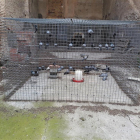 Una de les gàbies que s’han instal·lat a Benavent.