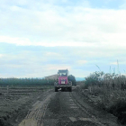 Las obras se  han llevado a cabo en varios caminos rurales.