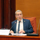 El síndico de Aran, Francesc Xavier Boya, durante la comparecencia en el Parlament.