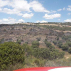 Vista general de la zona afectada ayer por el incendio de vegetación agrícola en Llardecans. 
