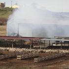 Els Bombers sufoquen un incendi en un paller d’Alcarràs