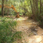 Denuncien una empresa per deixar sense aigua un riu a Gavet de la Conca